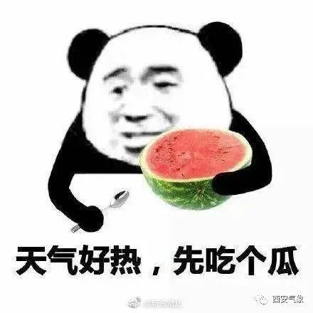 人间疾苦唯有吃瓜,唯有吃瓜解忧  第3张